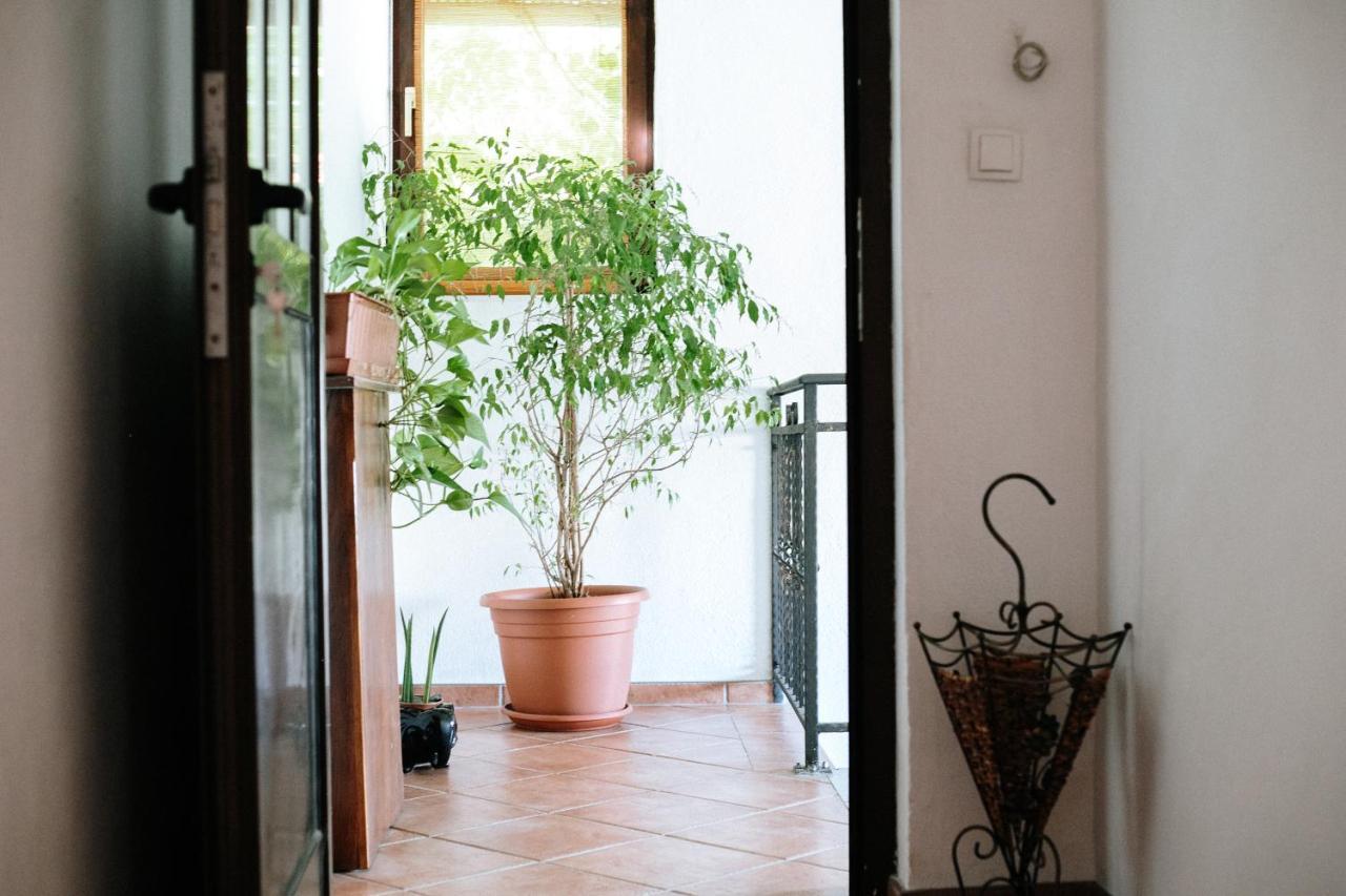 Apartment Ikar Mostar Dış mekan fotoğraf